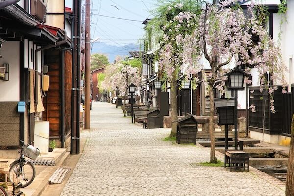 strada con canale di Furukawa con petali di ciliegio