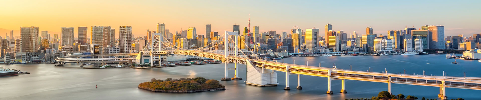 rainbow bridge a Tokyo